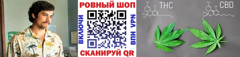 Виды наркоты Сясьстрой Бошки Шишки Alpha-PVP ГАШИШ Меф