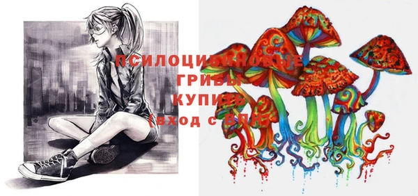 МДПВ Алексин