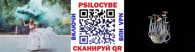Галлюциногенные грибы Cubensis Сясьстрой